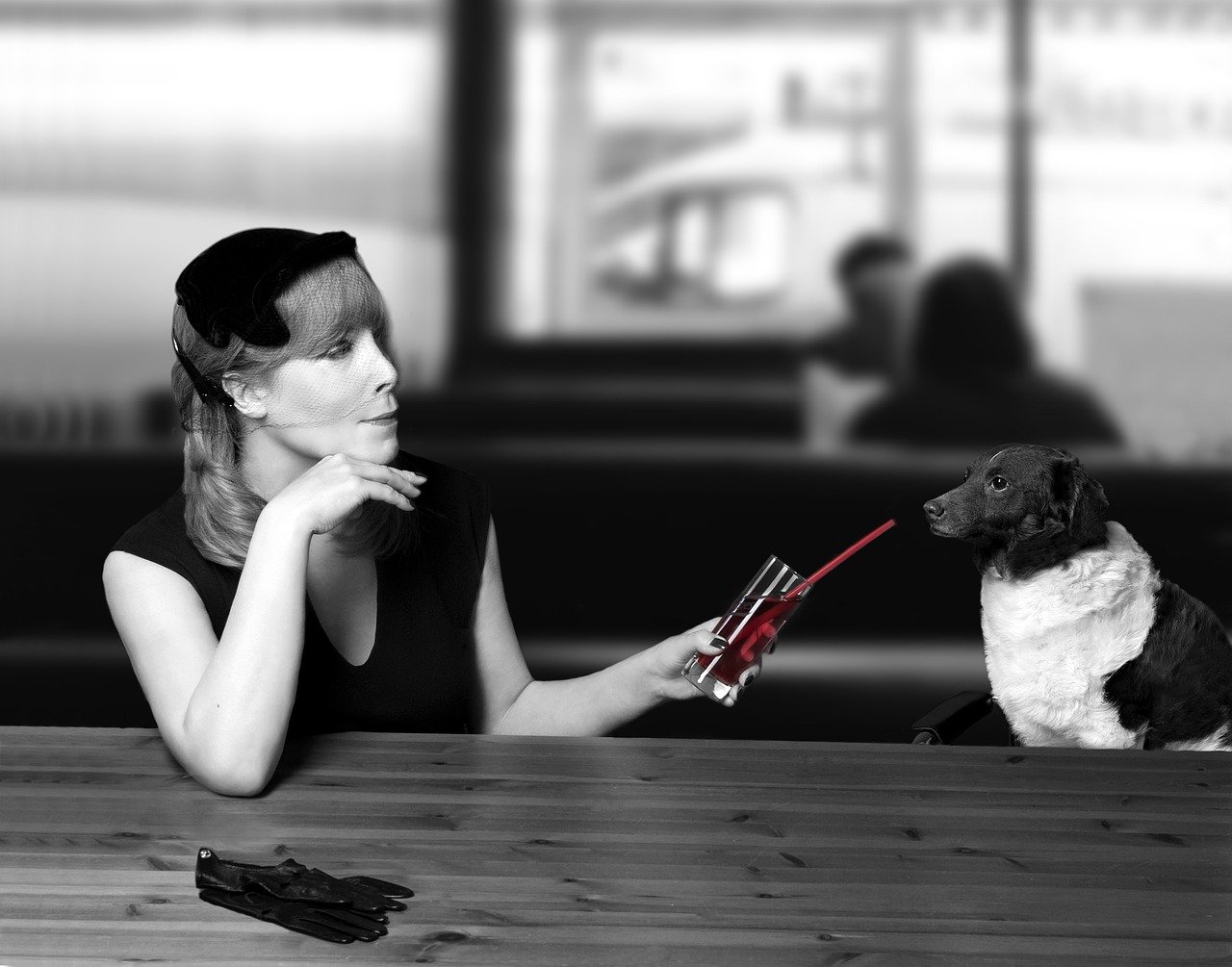 Hunde Im Restaurant