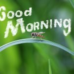 10 gute Wege den Morgen zu beginnen